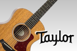 Taylor高価リスト