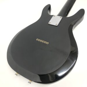 Greco APW-500 買取ました！Ampeg Dan Armstrong Luciteの木ボディ版 