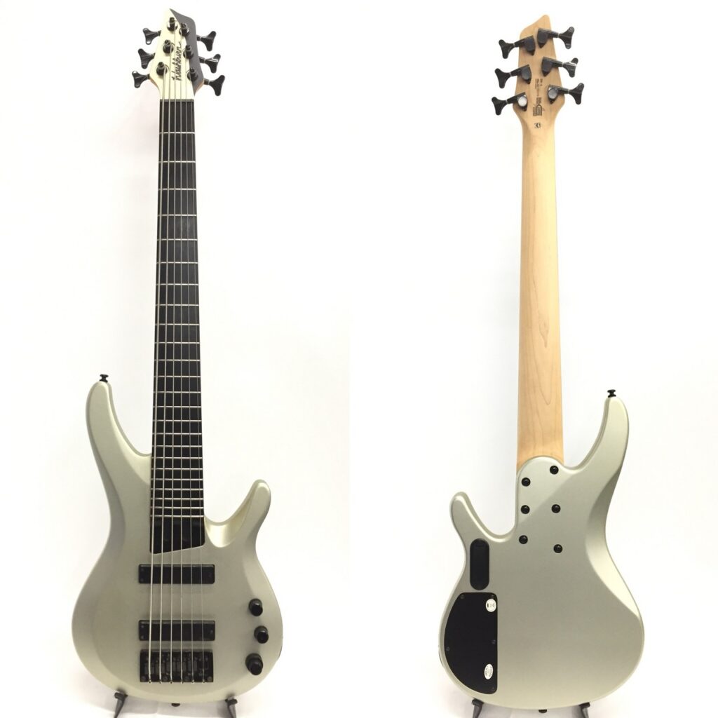 Washburn BB-5 5弦ベース+bnorte.com.br