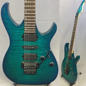 ANBOY DN-6 See-Through Blue オーダーモデル フジゲン製 買取ました 