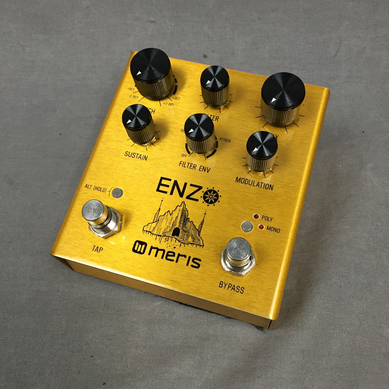 meris ENZO買取りました。デジマートにて￥33,000 で販売中！ - 楽器高価買取専門店 高く売るならチバカン楽器 千葉県 江戸川区 葛飾区  江東区 墨田区